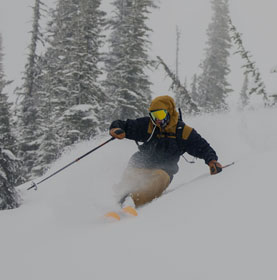 powder skier at snowshoe