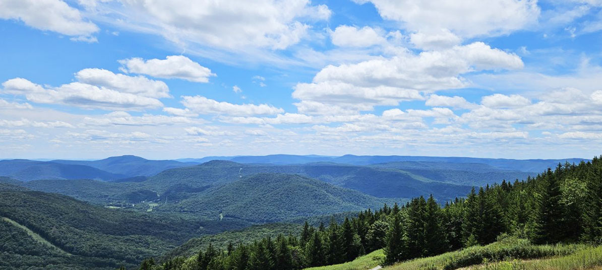 Summer Western View